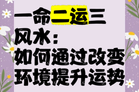 命运的交错：一命二运的哲思与启示