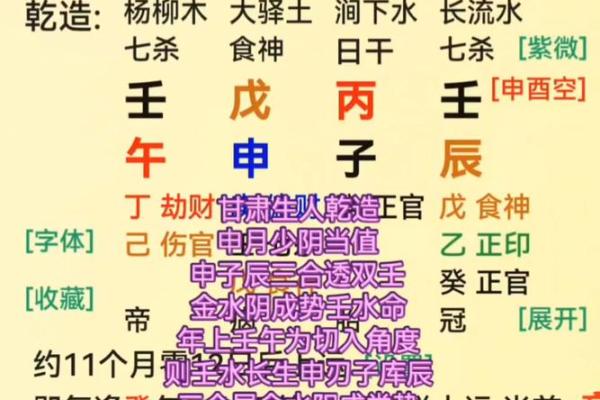 命理探析：壬申年己酉月的命运密码与人生哲学