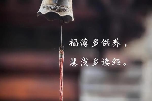 揭秘阳历五月初四的命运，探寻属于你的生命之道！