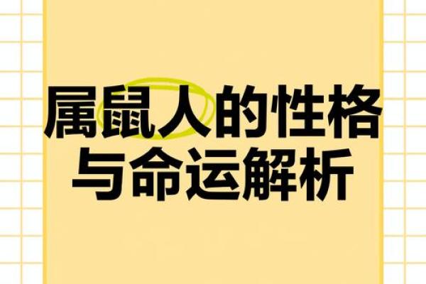 属鼠人1984年是什么命?解密属鼠人士的命运与性格特点! 属鼠人1984年是什么命?解密属鼠人士的命运与性格特点!