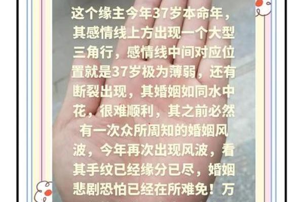 命与命相合，探讨婚姻缘分的奥秘与美好