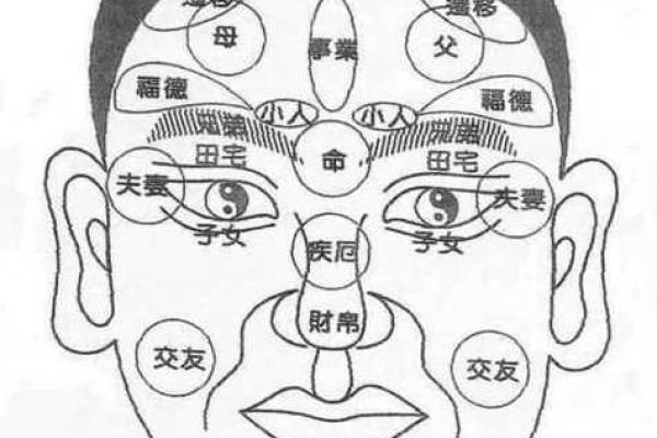 浓眉大眼高鼻梁,命运与面相的奥秘探寻 浓眉大眼高鼻梁,命运与面相的奥秘探寻