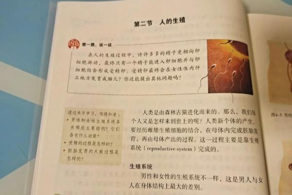 七两命的秘密：揭开命运背后的奥秘与智慧