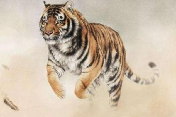 深入解析土虎命流年壬寅的深刻含义与生活启示