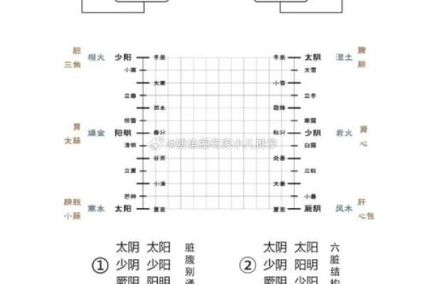 三土两金两木一水，探索命理的奥秘与人生的启示