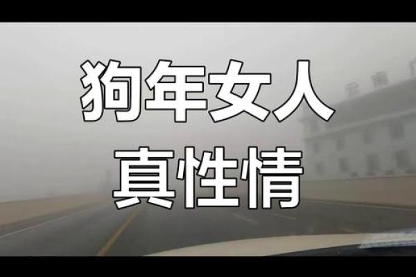 属狗女人的命运解析:温婉坚韧,幸福自来! 属狗女人的命运解析:温婉坚韧,幸福自来!