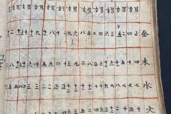 如何查询自己的命格属性？探索命理奥秘之旅！