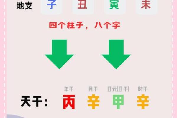 手大掌厚，命理之谜：揭示你的命运密码！