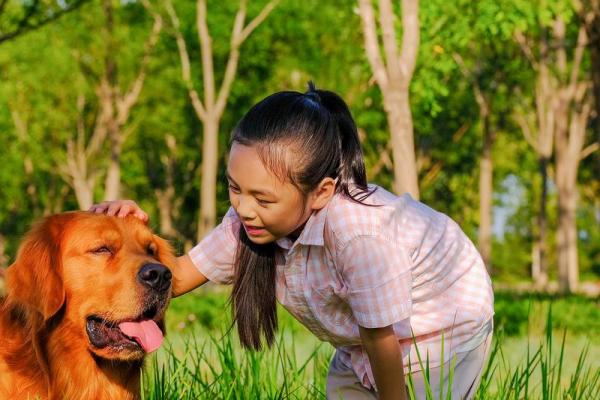 壬戌年出生的大海水命与狗的完美结合：福气与忠诚的象征