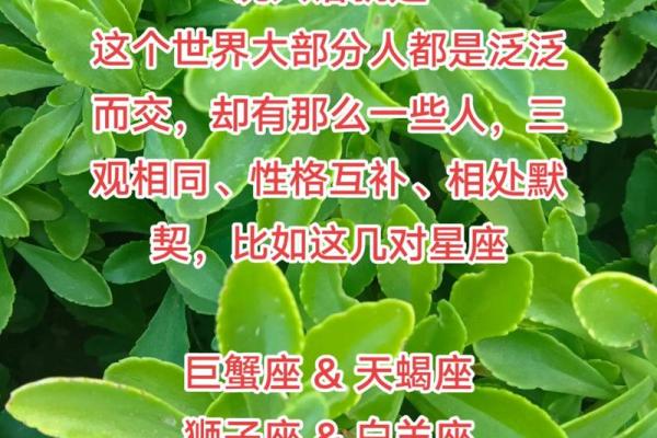 守护水命的星座:巨蟹座与天蝎座的深情探秘 守护水命的星座:巨蟹座与天蝎座的深情探秘