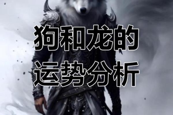 属狗的初七命星解析:揭开你的命运之谜 属狗的初七命星解析:揭开你的命运之谜