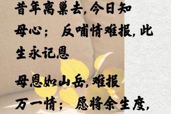 如何在不同公婆面前展现孝敬之心,找到理想的相处之道 如何在不同公婆面前展现孝敬之心,找到理想的相处之道