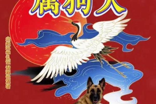 属狗1982年出生的人命运解析与生活智慧