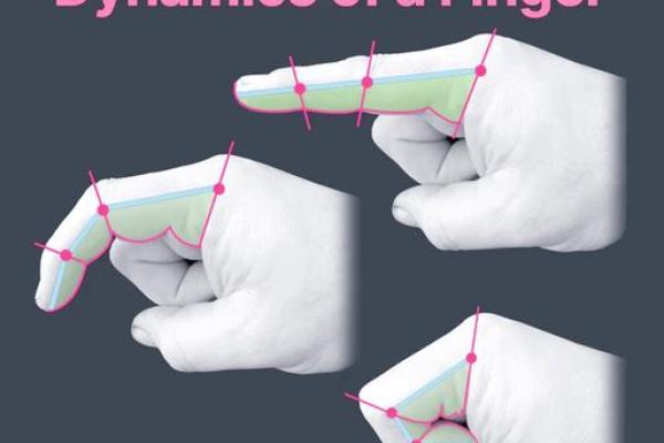 手指粗细与命运：探索命运之手的奥秘与智慧