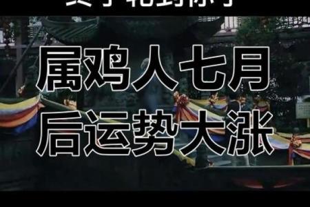 1993年生肖鸡：命格解析与人生运势探秘