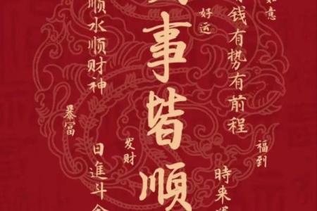 木命人士适合的颜色钱包及其风水意义解析