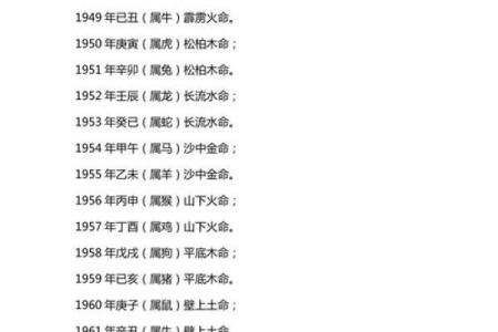 沙中金命起名技巧及其寓意探索