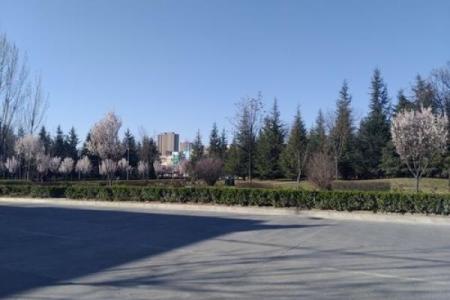 男人后背长胎记的命运解析：神秘的象征与人生轨迹