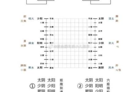 三土两金两木一水，探索命理的奥秘与人生的启示