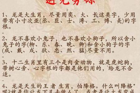 揭开十月初三生龙的命运之谜，探索命理学的奥秘与魅力！