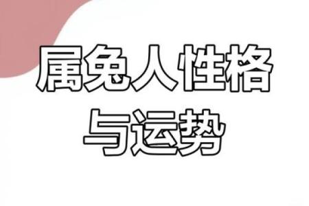 属兔人命理解析：性格、运势与人生旅程