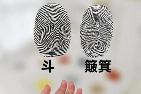 十个簸箕的命运：揭开生活中的隐藏智慧与哲理