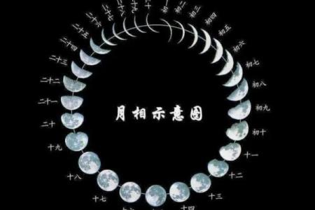 十二个月各月命理分析：你出生的那个月暗示了什么？