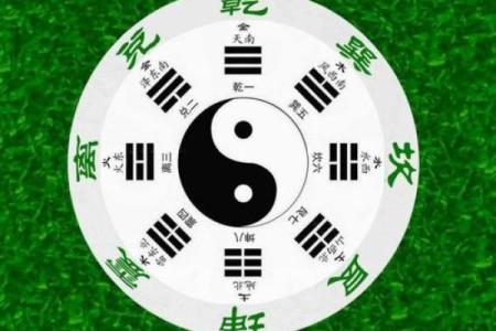 解码命格：如何通过命理实现名牌大学的梦想