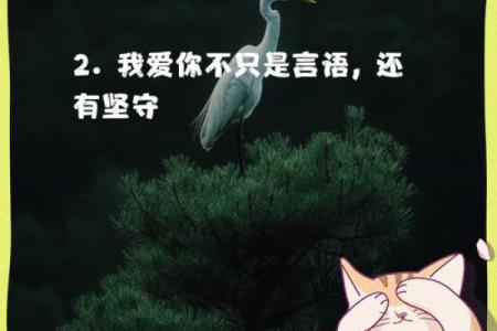 揭秘属蛇人的眼泪：情感与命运交织的故事