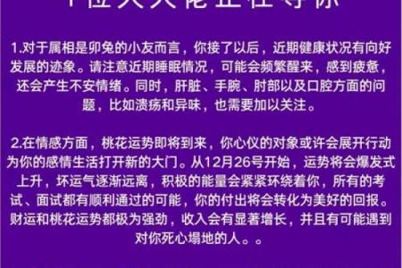 属兔人5月出生：命理解析与生活智慧的结合