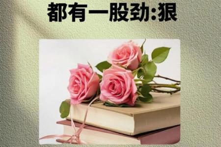 女人土命与合婚命理的完美契合：智慧与情感的和谐碰撞