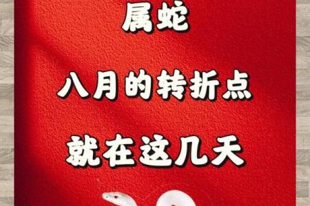 十岁蛇的命格解析：智慧与机遇的交织之路