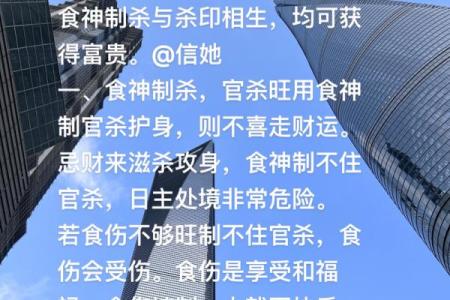 食神女命与男命的最佳搭配解析：缘分与命理的交织