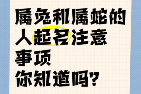 属蛇兔吃草：解密命理与生活的和谐之道
