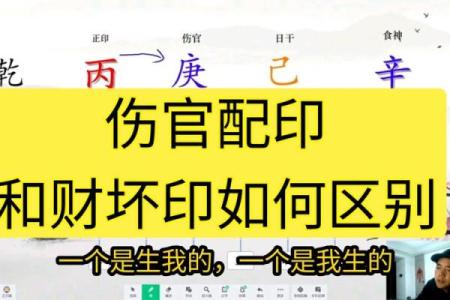 年伤官月正印，解析命理奥秘与人生运势
