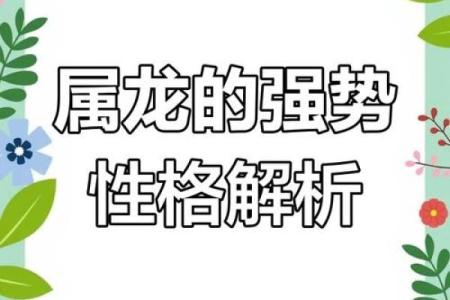 属龙人的命运分析：活力与潜力的完美结合