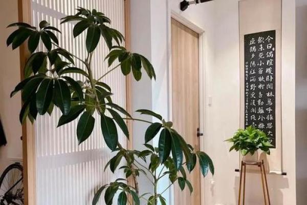 缺金命的人适合养什么花卉呢?了解这些花卉和风水吉利知识! 缺金命的人适合养什么花卉呢?了解这些花卉和风水吉利知识!