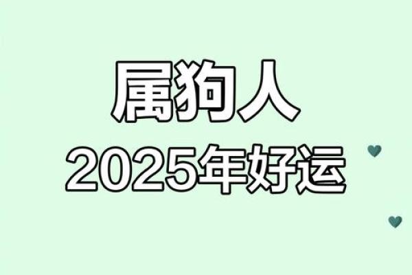 属狗之人：2月初八生日的命理解析与人生运势