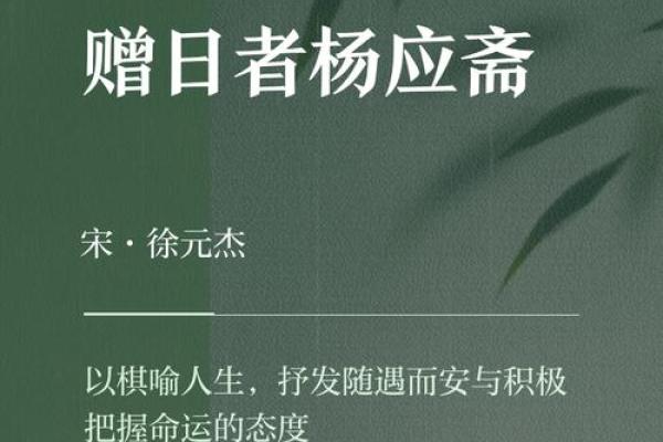 矮个子的人生之路：命运为何不眷顾他们？探寻背后的原因与解读