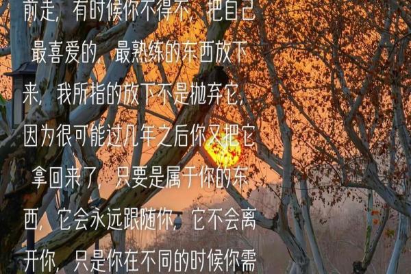 认真摞命：在歌曲中寻觅人生的意义与希望