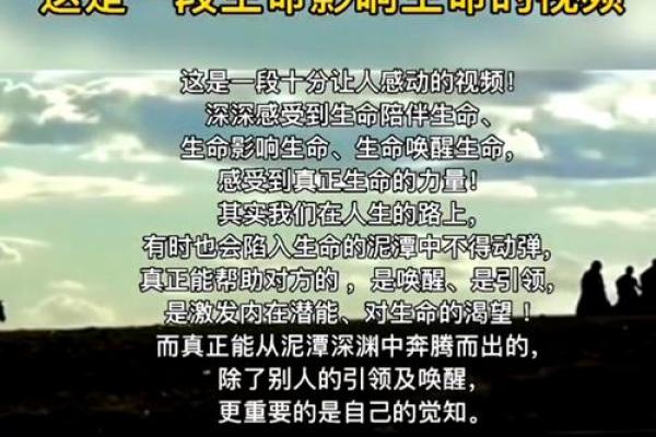 什么是实命与虚命？探寻生命的本质与价值