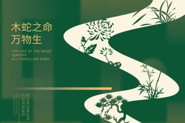 木命人招牌底色解析：如何选择合适的颜色提升形象魅力