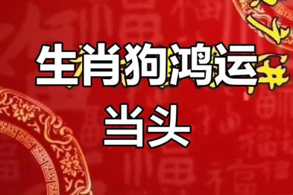 1970年属狗人是什么命与命运解析