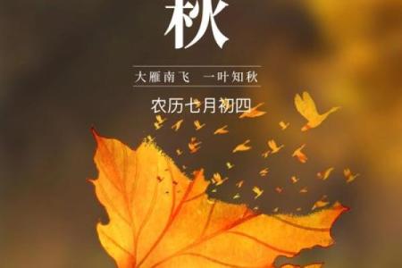 农历七月出生的命运与性格解析：揭秘你与生俱来的特质