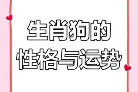 属狗之人：2月初八生日的命理解析与人生运势