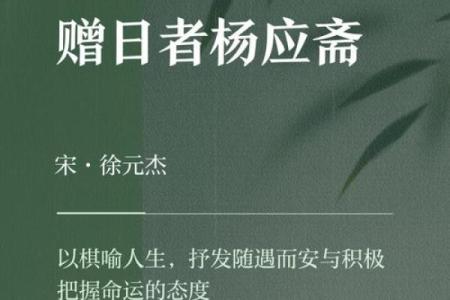 矮个子的人生之路：命运为何不眷顾他们？探寻背后的原因与解读
