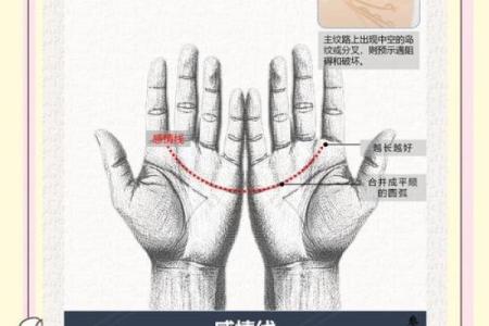 手指长度的秘密：揭示你命运的密码！