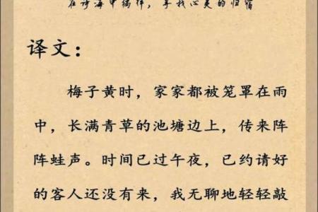 青灯还俗：探寻灵魂深处的归宿与启示