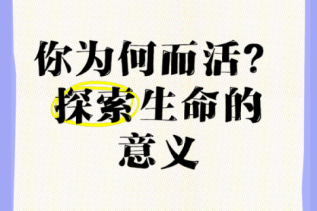 什么是实命与虚命？探寻生命的本质与价值