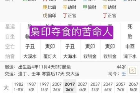 食神格女命：识别其特质与命运之路